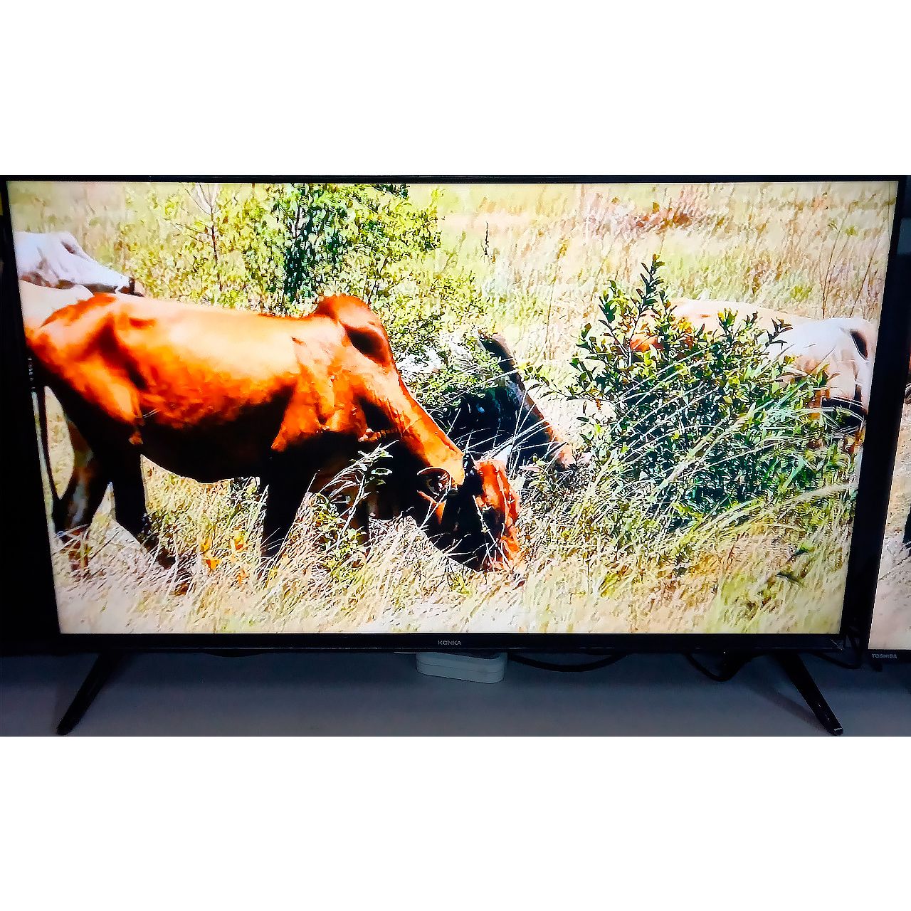 Телевизор Konka FullHD 110 см