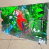 Телевизор TCL 8K UHD 215 см