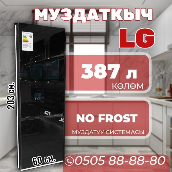 Холодильник двухкамерный LG 387 литров