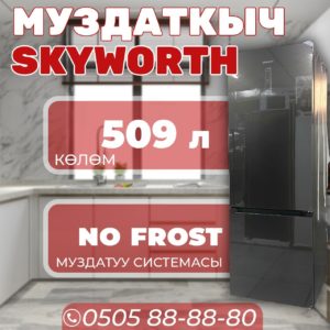 Холодильник двухкамерный Skyworth 509 литров