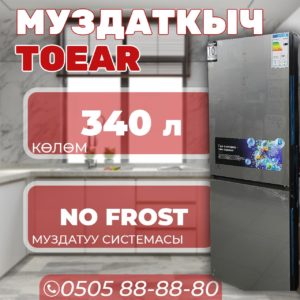 Холодильник двухкамерный Toear 340 литров