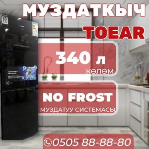 Холодильник двухкамерный Toear 340 литров (черный)