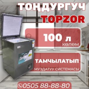 Морозильник горизонтальный Topzor 100 литров