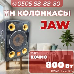 Музыкальная колонка JAW мощностью 800 Вт