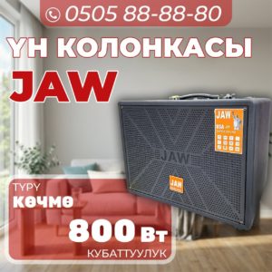 Музыкальная колонка JAW мощностью 800 Вт