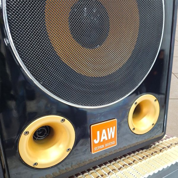 Музыкальная колонка JAW мощностью 800 Вт
