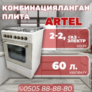 Газовая и электроплита Artel 2-2
