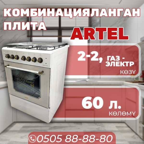 Газовая и электроплита Artel 2-2