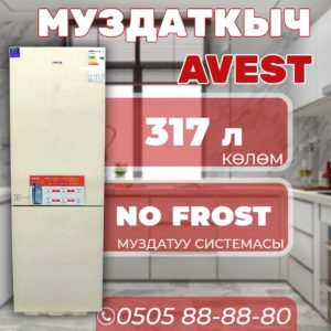 Холодильник двухкамерный Avest 317 литров