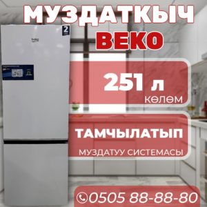 Холодильник двухкамерный BEKO 251 литр