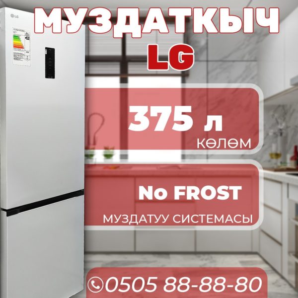 Холодильник двухкамерный LG 375 литров