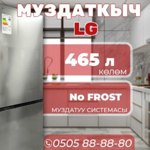 Холодильник двухкамерный LG 465 литров
