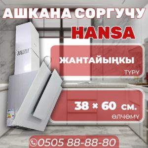 Вытяжка наклонная Hansa